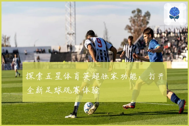 探索五星体育英超独家功能,打开全新足球观赛体验