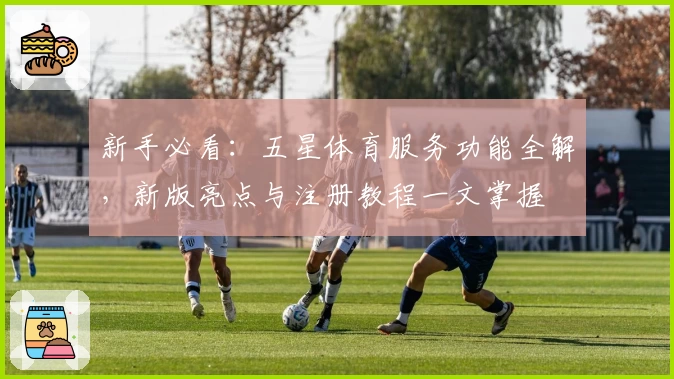新手必看:五星体育服务功能全解,新版亮点与注册教程一文掌握