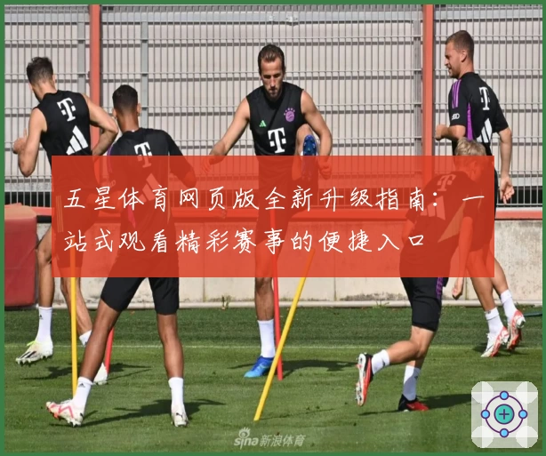 五星体育网页版全新升级指南：一站式观看精彩赛事的便捷入口