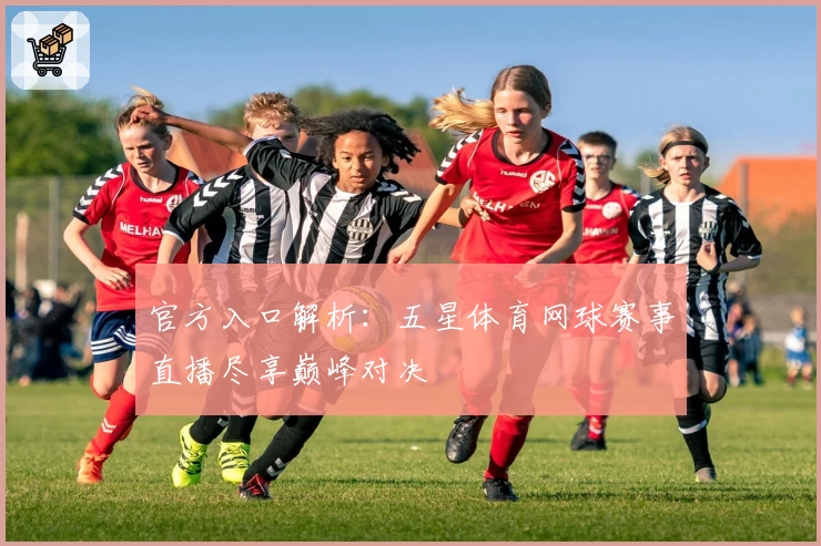 官方入口解析：五星体育网球赛事直播尽享巅峰对决